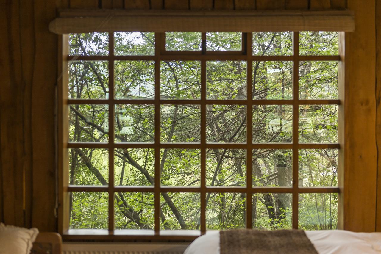Hotel El Barranco Futaleufu Bagian luar foto